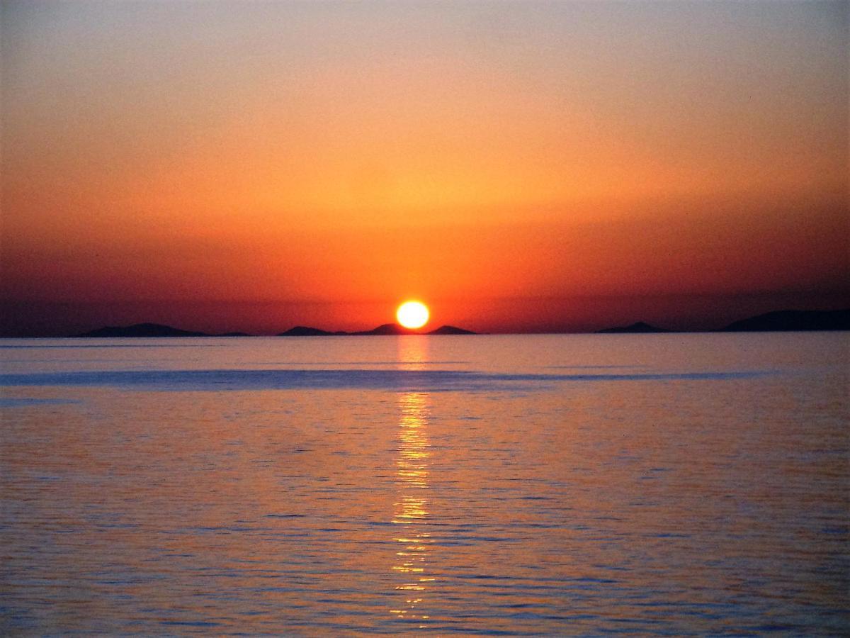 Alba Stupendo Appartamento In Villa Fronte Mare - Golfo Dell'Asinara - Internet Free ヴァッレドーリア エクステリア 写真