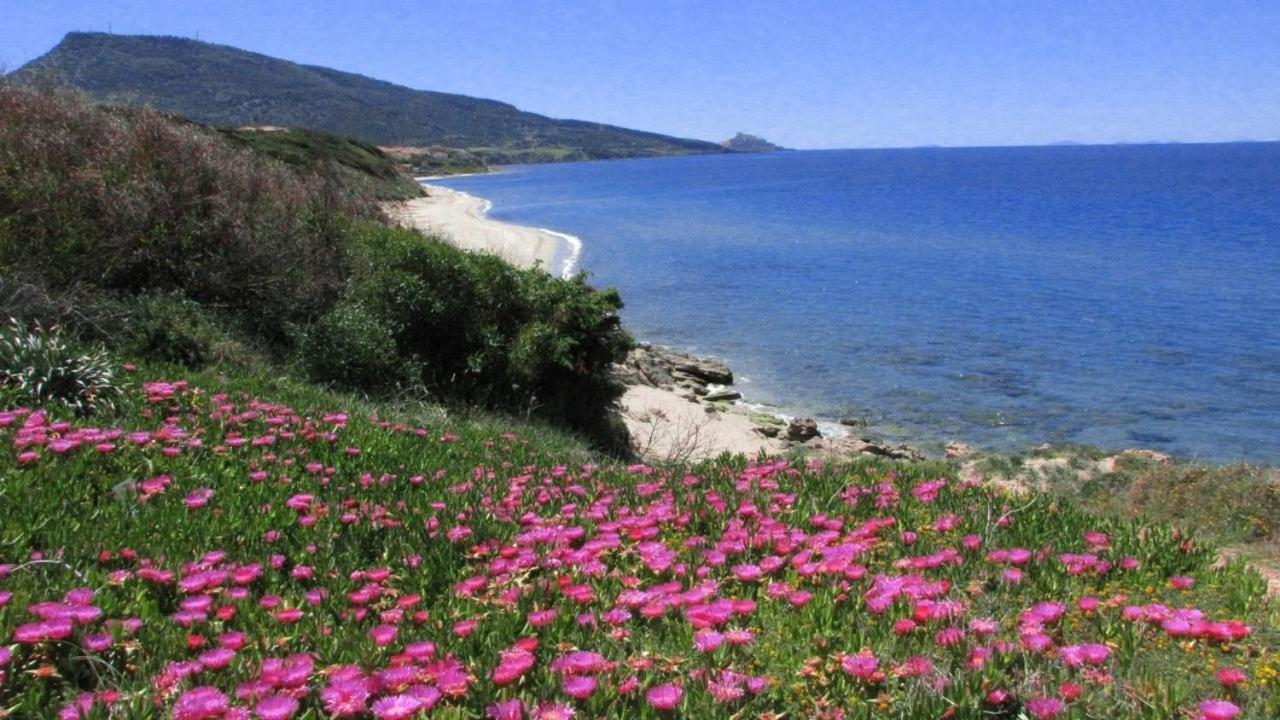 Alba Stupendo Appartamento In Villa Fronte Mare - Golfo Dell'Asinara - Internet Free ヴァッレドーリア エクステリア 写真